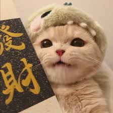 Legal Advisor Avatar